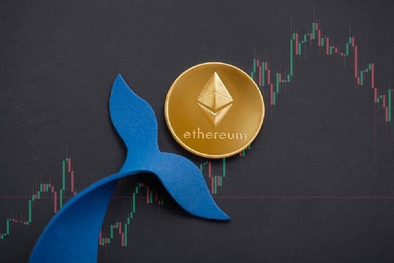 Whale scooped $26.7M in ETH after $76.6M profit amid market surge