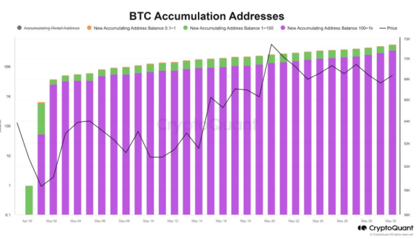 Bitcoin long-term holders resume accumulation for the first time since December: Bitfinex0