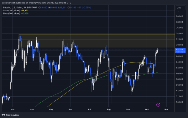 Bitcoin Whales ‘Grew Substantially’ During Last Dip, Data Shows Large-Holder Accumulation1