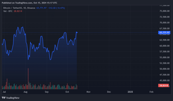 Bitcoin crosses $67k to hit 2-month high0