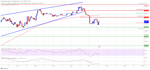 Bitcoin Price Corrects Some Gains: A Pause Before the Next Move?0