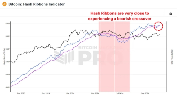 What Do Bitcoin Miners Expect Next?2