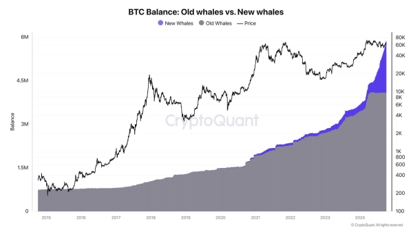 Bitcoin stabilizes at crucial support after major crash3