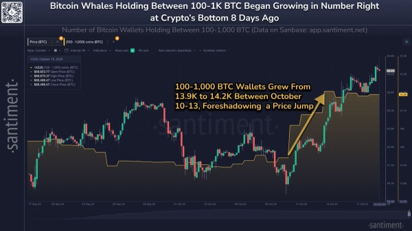 Bitcoin Whales ‘Grew Substantially’ During Last Dip, Data Shows Large-Holder Accumulation0