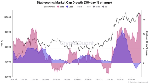 Stablecoins See Positive Momentum: Will This Lead To New Bitcoin All-Time High?0