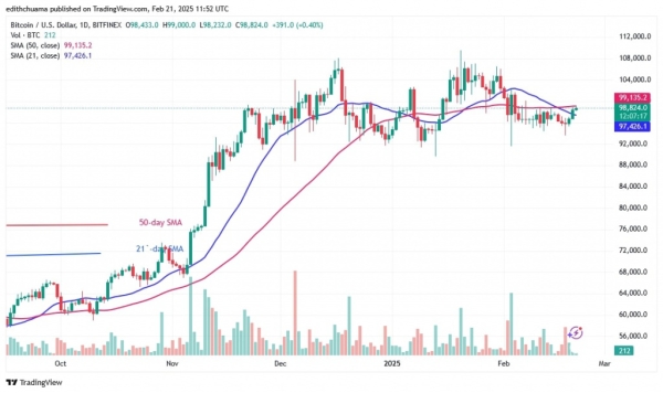 BTCUSD_(Daily Chart) -FEB.21, 20250