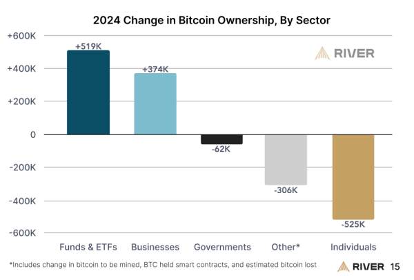 Bitcoin Adoption Rallies as 80% More Public Companies Bought in 2024: Report1