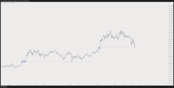 Bitcoin Ready To Rally After Hitting Same ‘Extreme Fear’ Levels of COVID Crash and 2022 Bear Market: Trader2