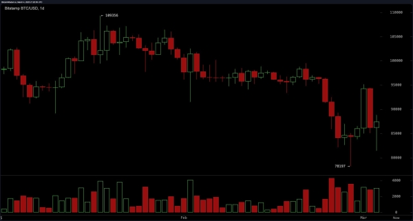 Bitcoin Price Watch: Bulls Fight Back as Bitcoin Eyes $90K Breakout2