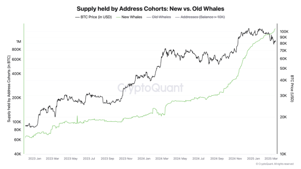 Bitcoin Whales Are Back—Could This Be the Catalyst for the Next Rally?0