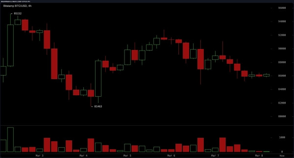 Bitcoin Price Watch: Key Support and Resistance Levels to Watch Now1