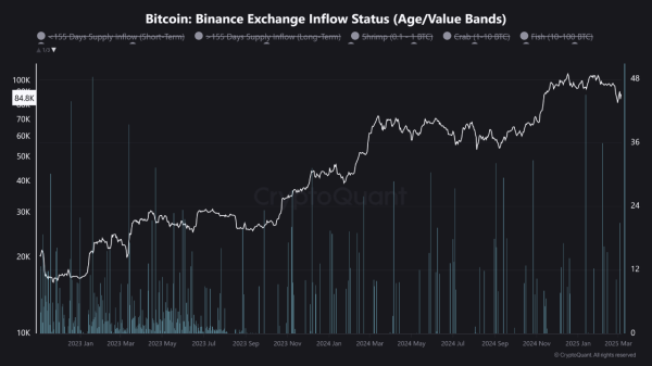 Binance Whales Cash Out as Bitcoin Drops—More Downside Ahead?0