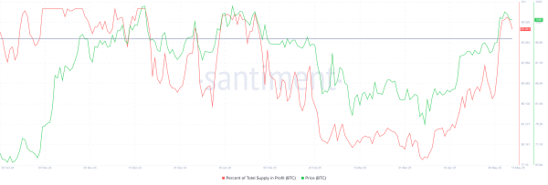 Whales Buy $8.5 Billion in Bitcoin—Can Their Firepower Push Price to $110,000?0