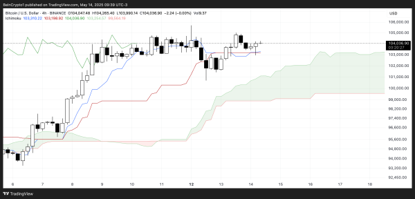 Bitcoin Whales are Increasing, But Their Activity Remains Unstable1