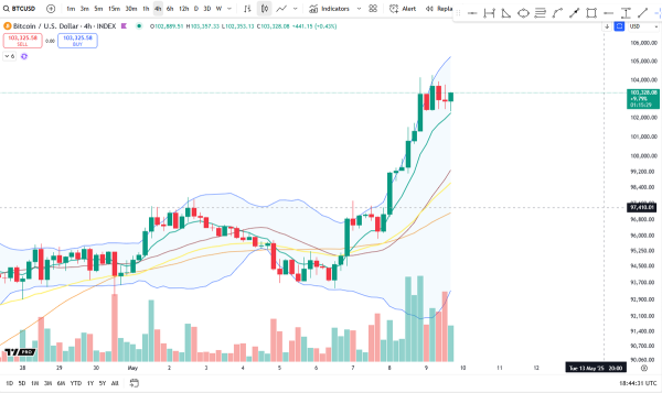 Bitcoin 4H Chart Shows Bullish Consolidation – Classic Continuation?0